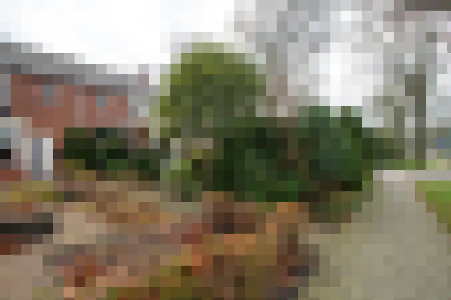Prinses Beatrixstraat 21 b Markelo thumbnail 26