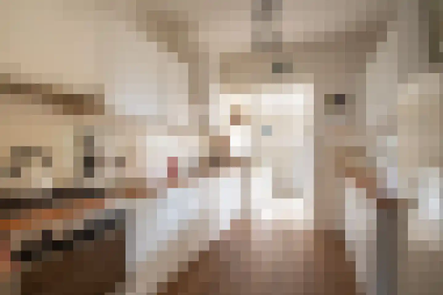 Prinses Beatrixstraat 21 b Markelo thumbnail 4