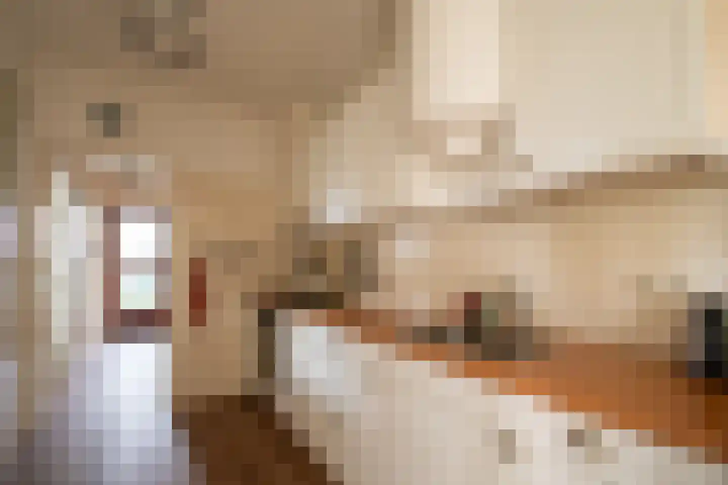 Prinses Beatrixstraat 21 b Markelo thumbnail 5