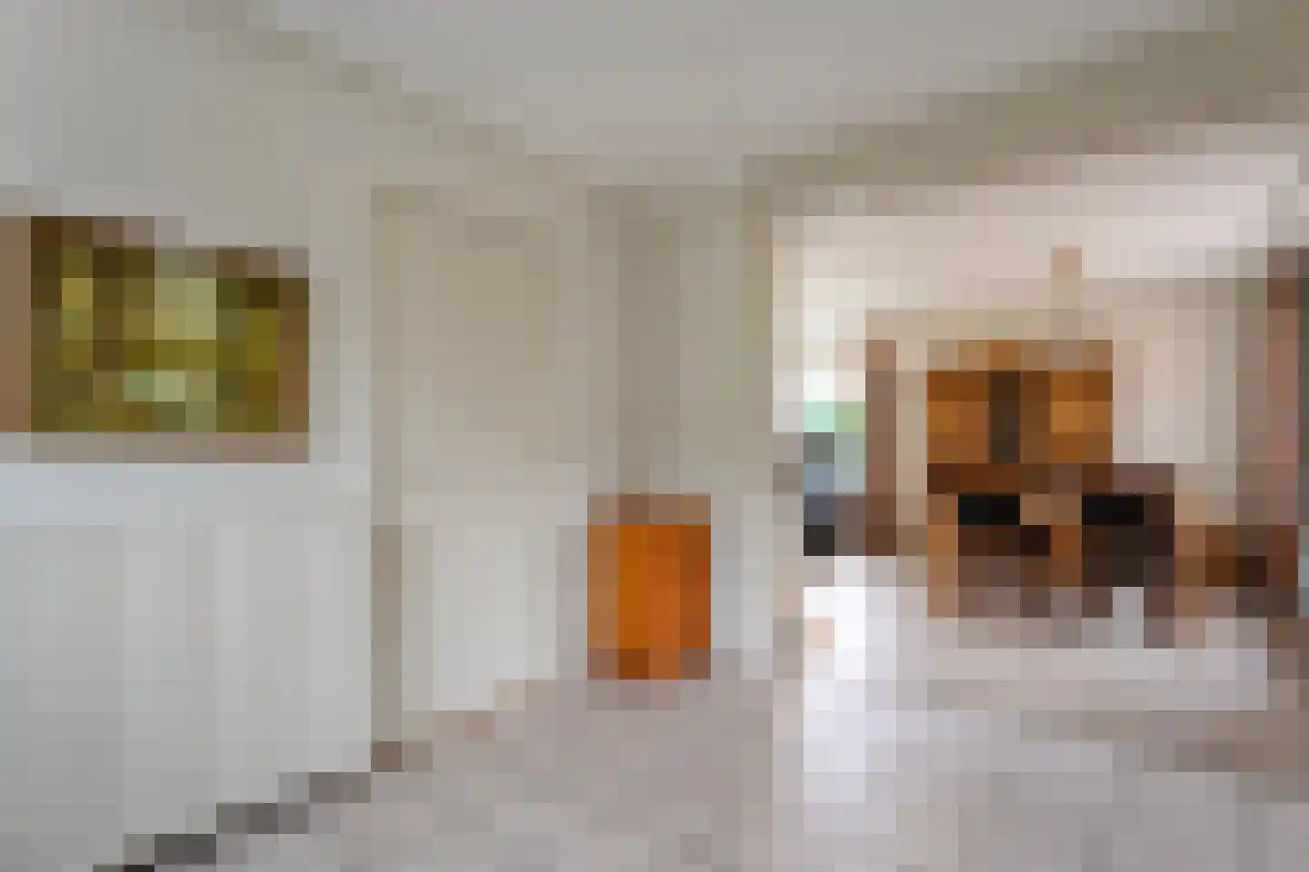Prinses Beatrixstraat 22 Vledder thumbnail 19