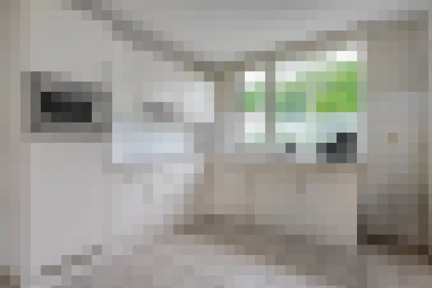 Prinses Beatrixstraat 22 Vledder thumbnail 21