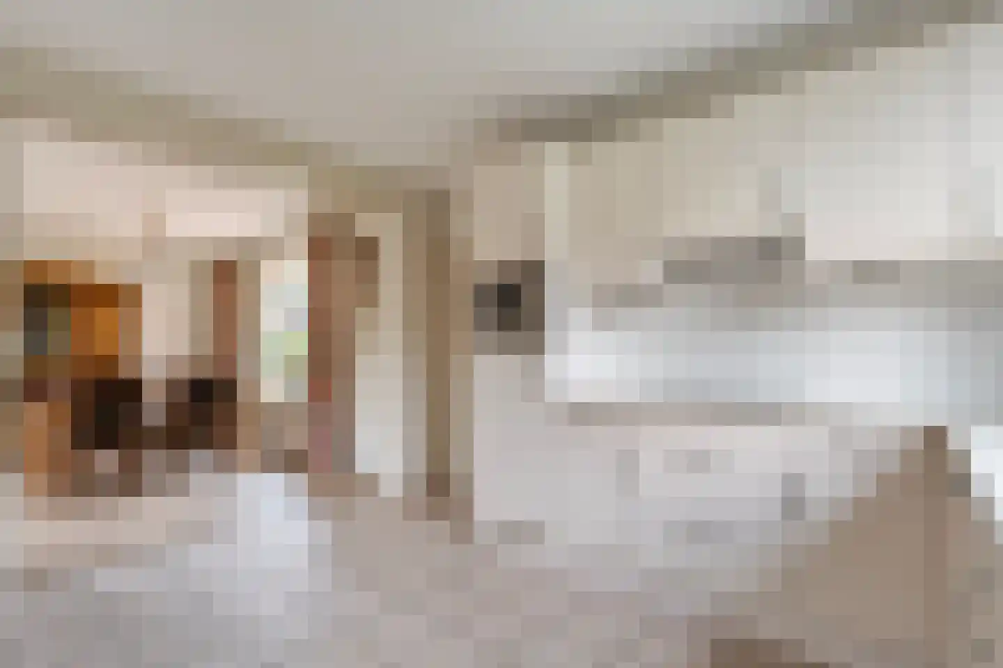 Prinses Beatrixstraat 22 Vledder thumbnail 4