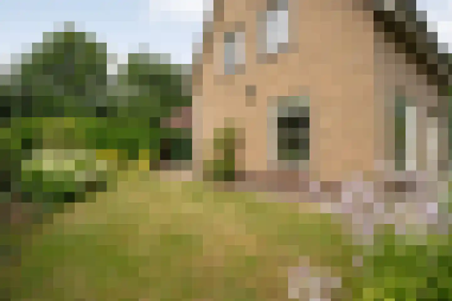 Prinses Beatrixstraat 22 Vledder thumbnail 44