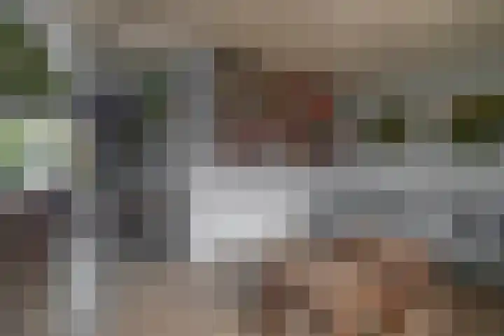 Prinses Beatrixstraat 24 Drunen thumbnail 4