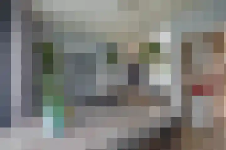 Prinses Beatrixstraat 24 Drunen thumbnail 5