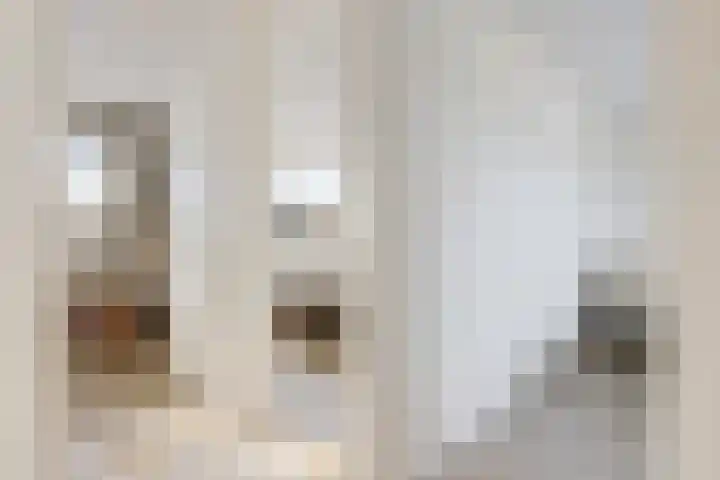 Prinses Beatrixstraat 25 Joure thumbnail 33