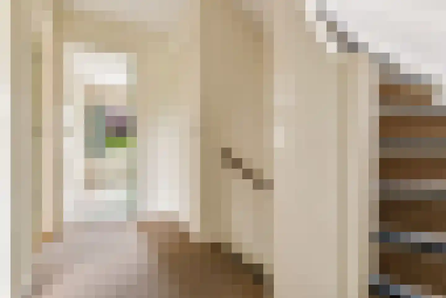 Prinses Beatrixstraat 3 Bunnik thumbnail 28