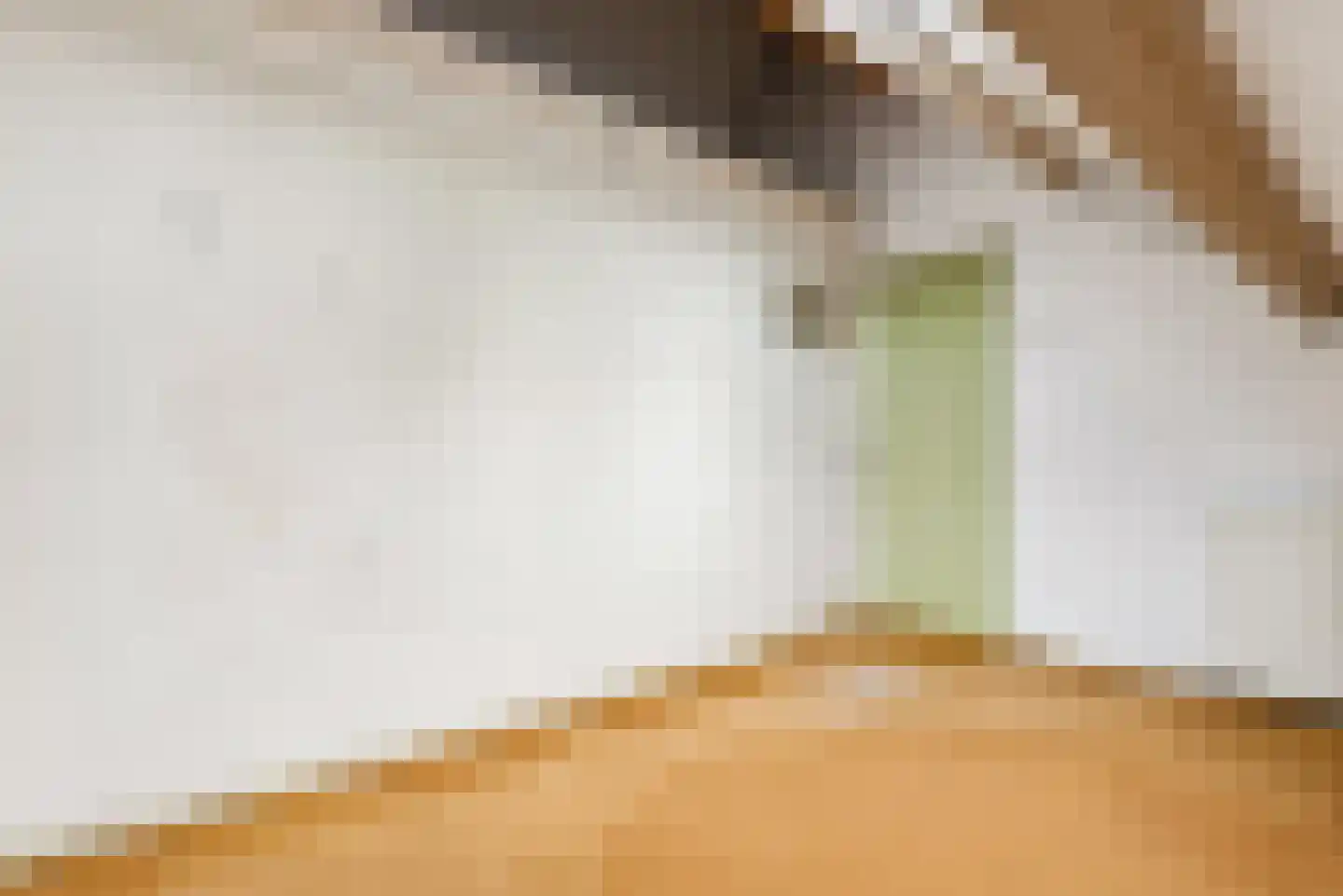 Prinses Beatrixstraat 3 Bunnik thumbnail 34