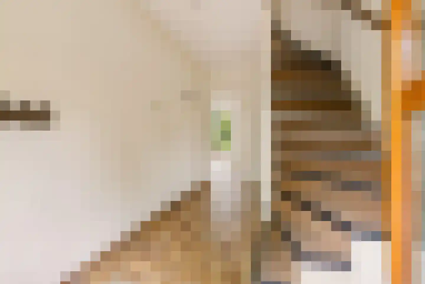 Prinses Beatrixstraat 3 Bunnik thumbnail 5