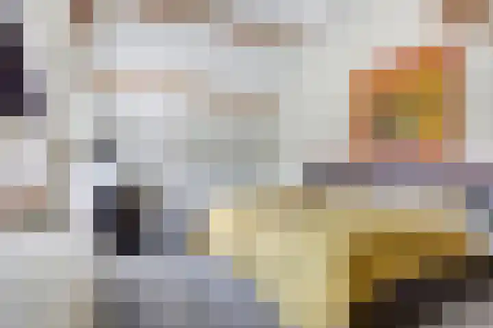 Prinses Beatrixstraat 3 Hedel thumbnail 17