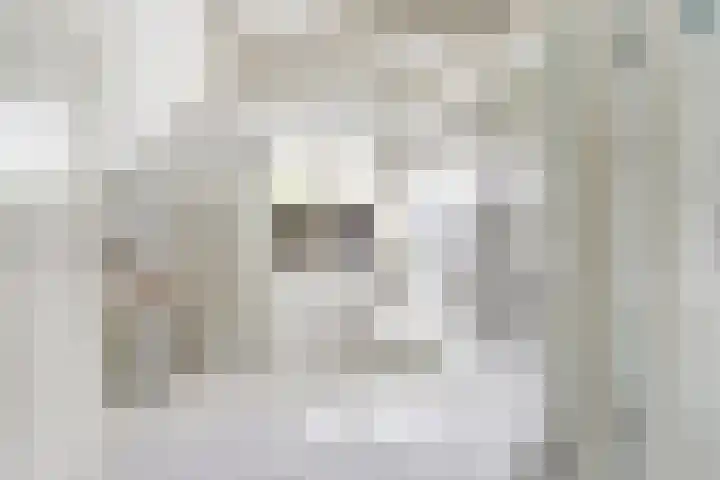 Prinses Beatrixstraat 3 Hedel thumbnail 20