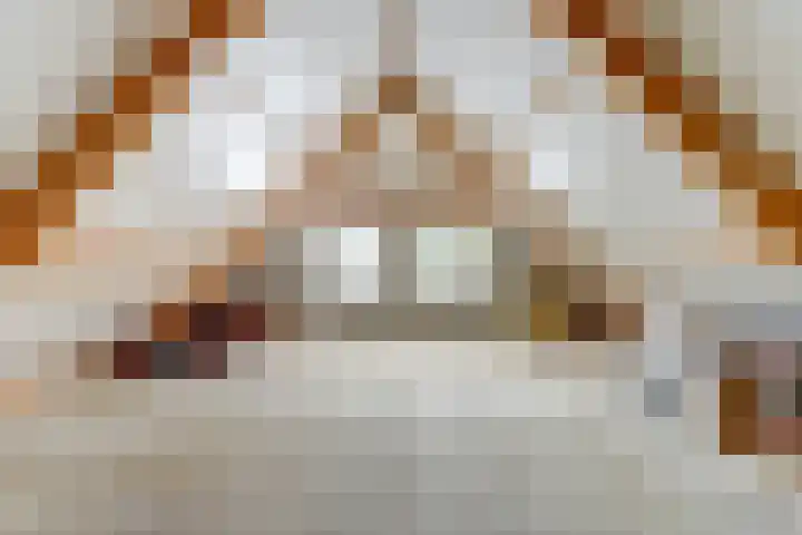 Prinses Beatrixstraat 3 Hedel thumbnail 23