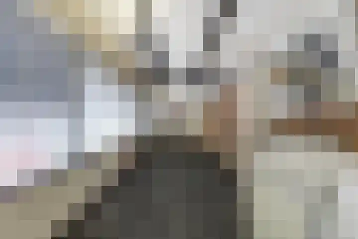 Prinses Beatrixstraat 3 Hedel thumbnail 26