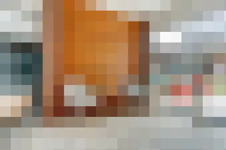 Prinses Beatrixstraat 3 Hedel thumbnail 30