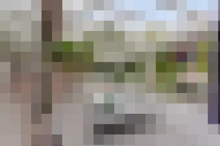 Prinses Beatrixstraat 3 Hedel thumbnail 35