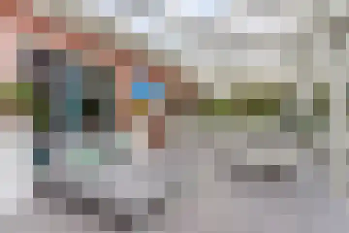 Prinses Beatrixstraat 3 Hedel thumbnail 36