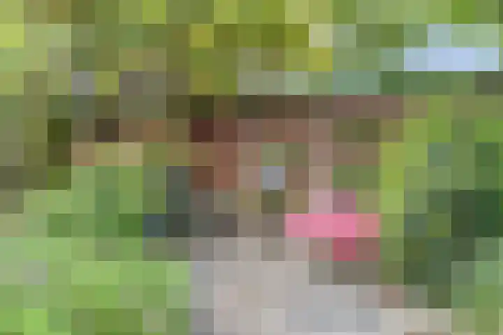 Prinses Beatrixstraat 3 Hedel thumbnail 38