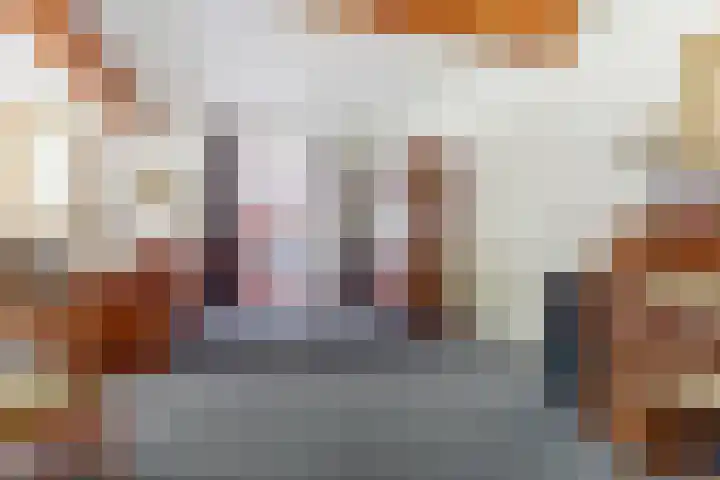 Prinses Beatrixstraat 3 Hedel thumbnail 6