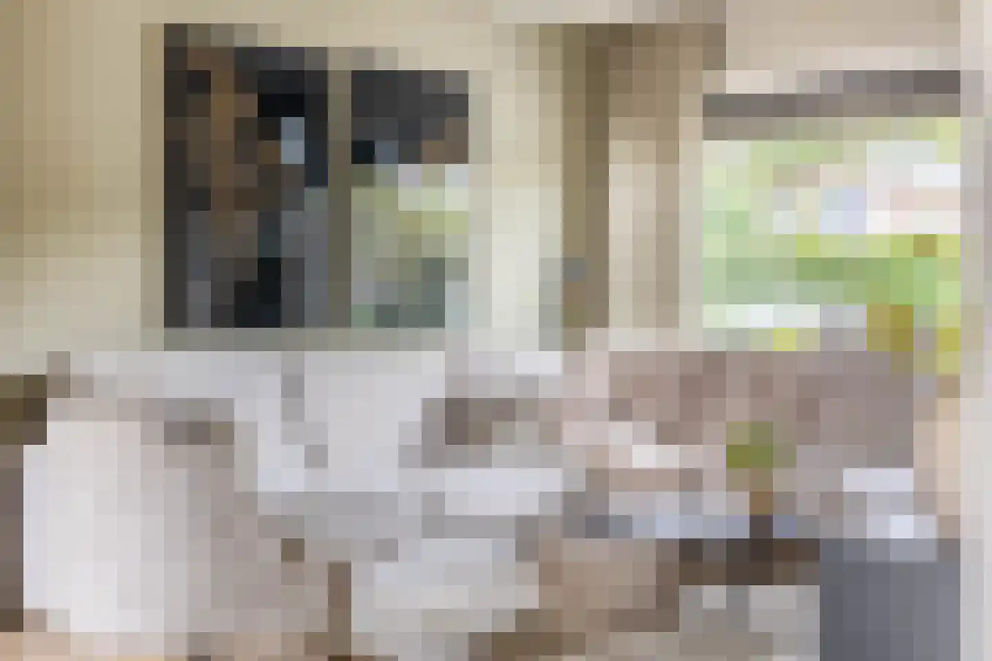 Prinses Beatrixstraat 3 's-Gravenzande thumbnail 8
