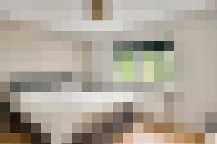 Prinses Beatrixstraat 31 Stramproy thumbnail 29