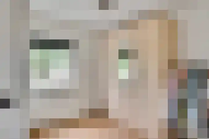 Prinses Beatrixstraat 31 Stramproy thumbnail 33