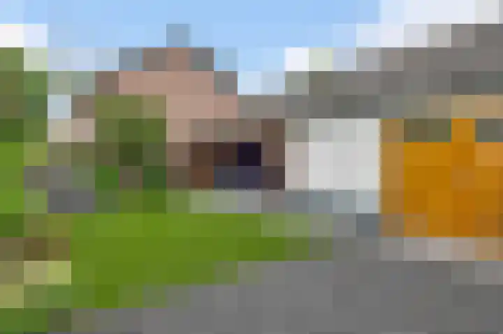 Prinses Beatrixstraat 31 Stramproy thumbnail 39