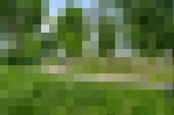 Prinses Beatrixstraat 31 Stramproy thumbnail 45