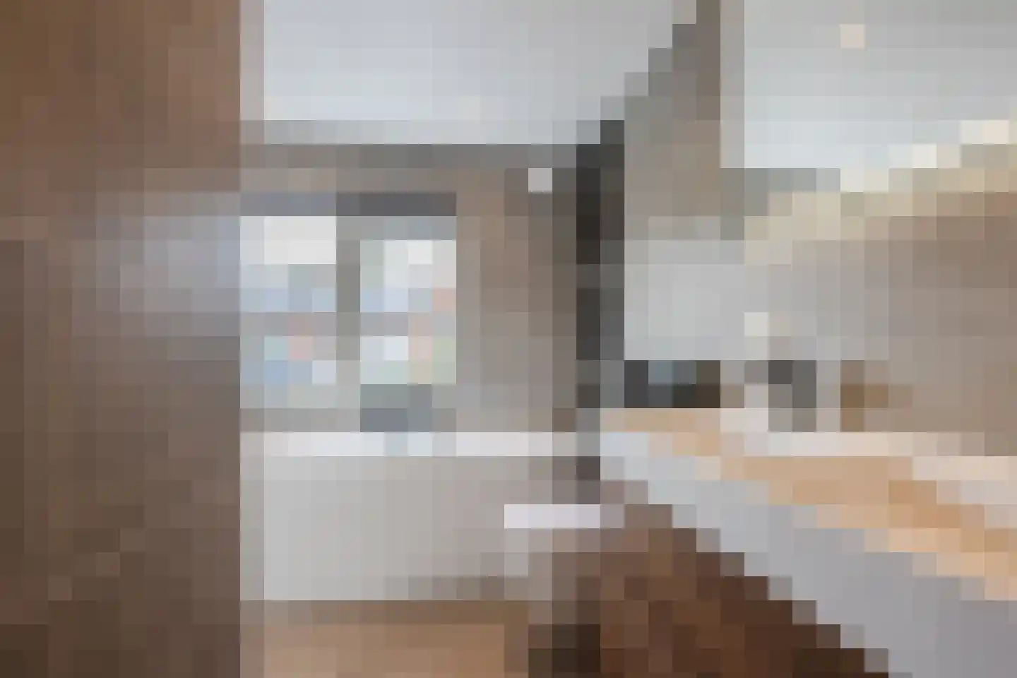 Prinses Beatrixstraat 37 Zwolle thumbnail 36