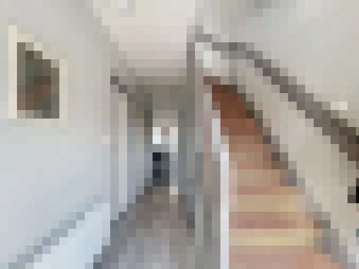 Prinses Beatrixstraat 38 Schoondijke thumbnail 11