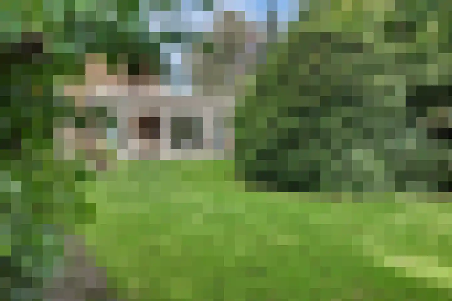 Prinses Beatrixstraat 4 Bergeijk thumbnail 4