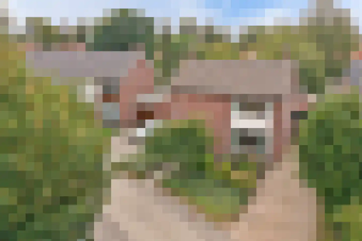 Prinses Beatrixstraat 4 Bergeijk thumbnail 48