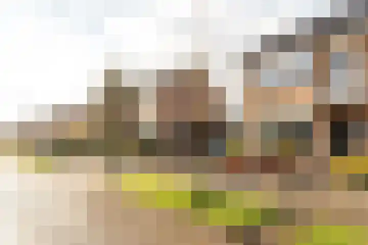 Prinses Beatrixstraat 4 Joure thumbnail 34