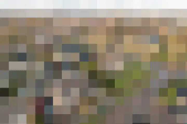 Prinses Beatrixstraat 4 Joure thumbnail 36