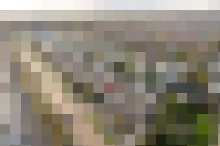 Prinses Beatrixstraat 4 Joure thumbnail 37