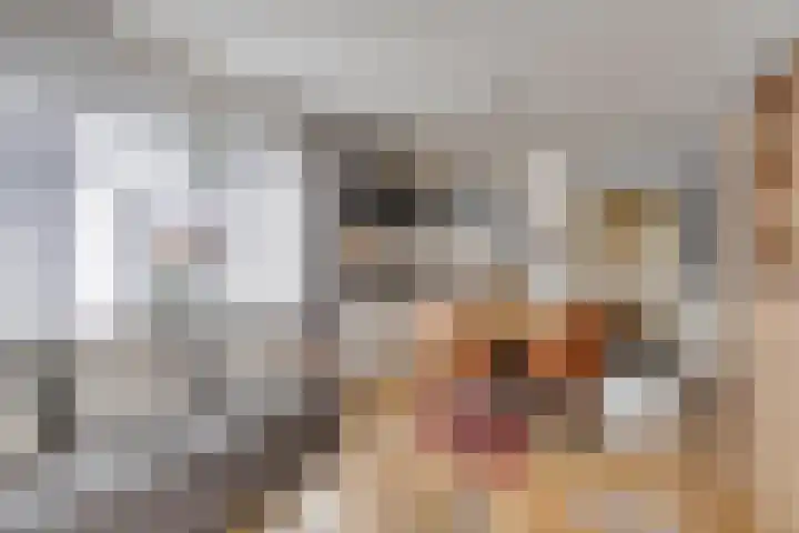 Prinses Beatrixstraat 4 Swalmen thumbnail 22
