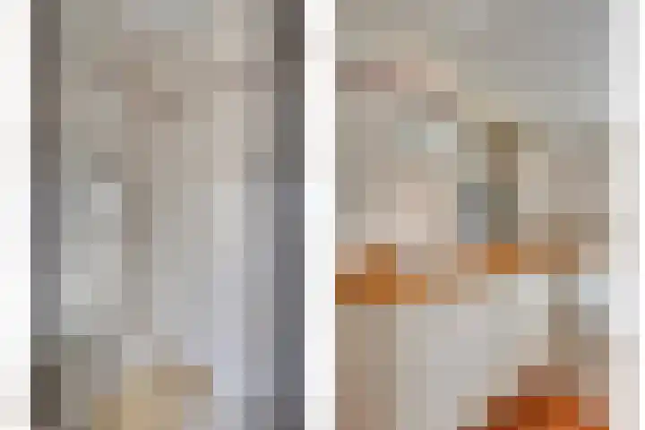 Prinses Beatrixstraat 4 Swalmen thumbnail 35