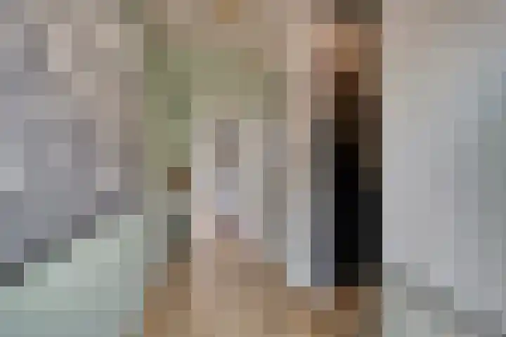 Prinses Beatrixstraat 4 Swalmen thumbnail 5