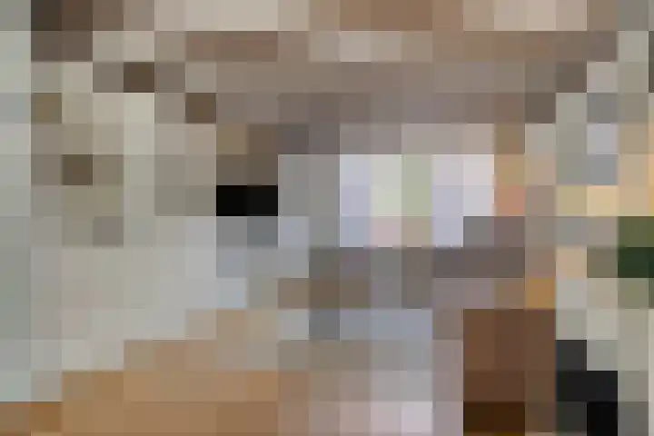 Prinses Beatrixstraat 4 Swalmen thumbnail 9