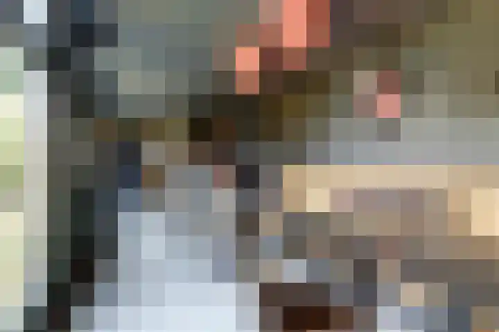 Prinses Beatrixstraat 4 Venray thumbnail 36