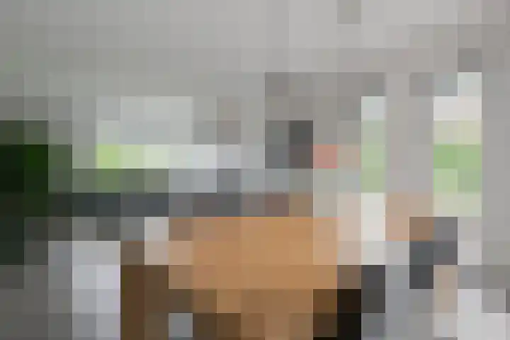 Prinses Beatrixstraat 43 A Didam thumbnail 14