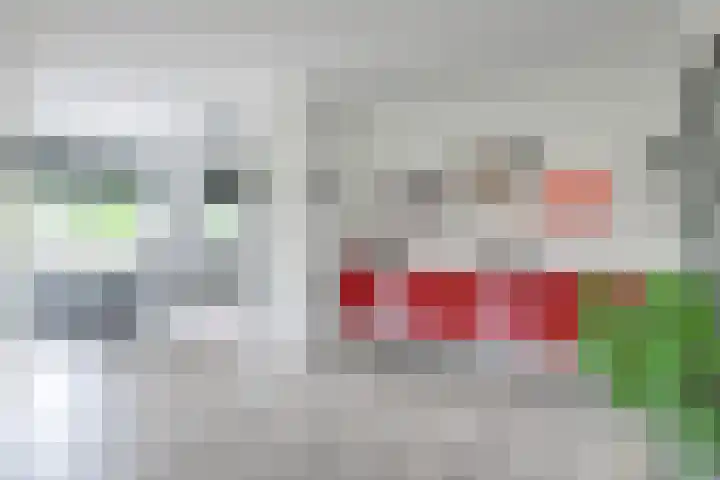 Prinses Beatrixstraat 43 A Didam thumbnail 17