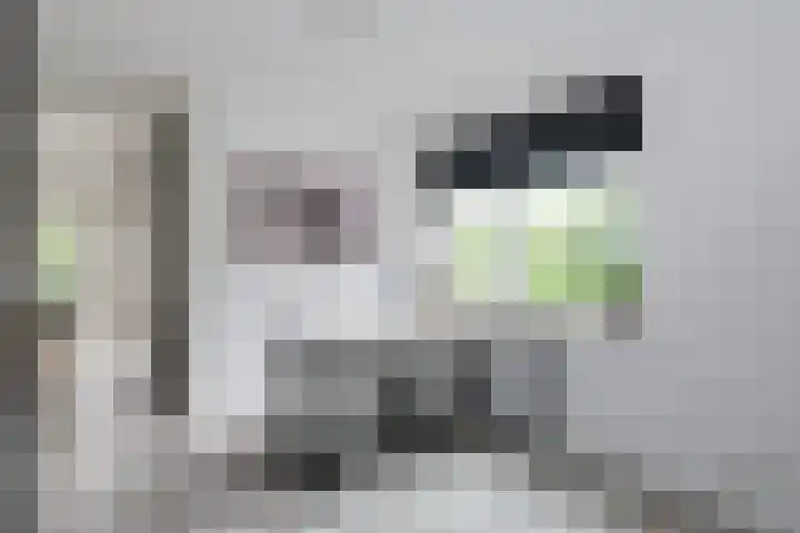 Prinses Beatrixstraat 43 A Didam thumbnail 19