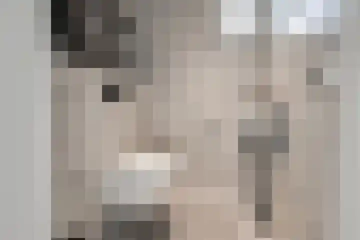 Prinses Beatrixstraat 43 A Didam thumbnail 28