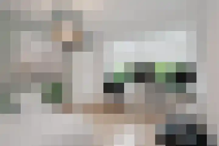Prinses Beatrixstraat 43 A Didam thumbnail 33