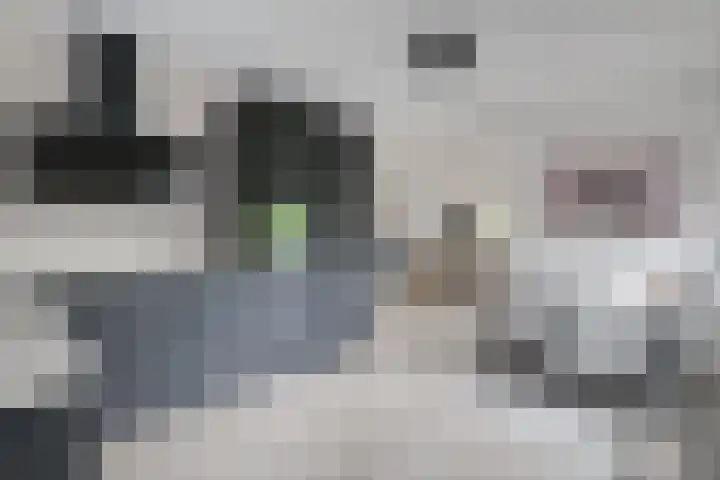 Prinses Beatrixstraat 43 A Didam thumbnail 4