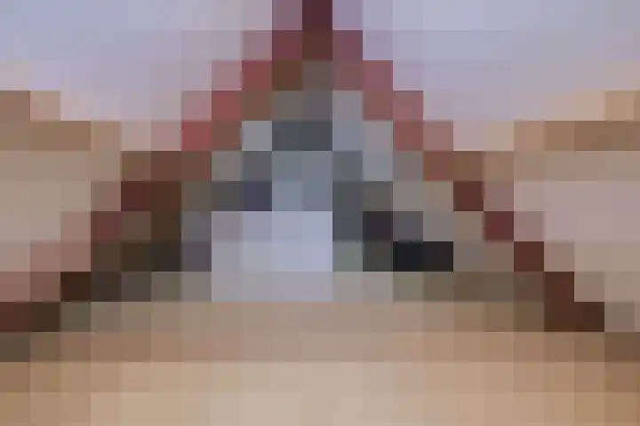 Prinses Beatrixstraat 43 A Didam thumbnail 45