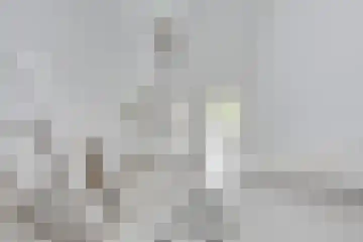 Prinses Beatrixstraat 43 A Didam thumbnail 46