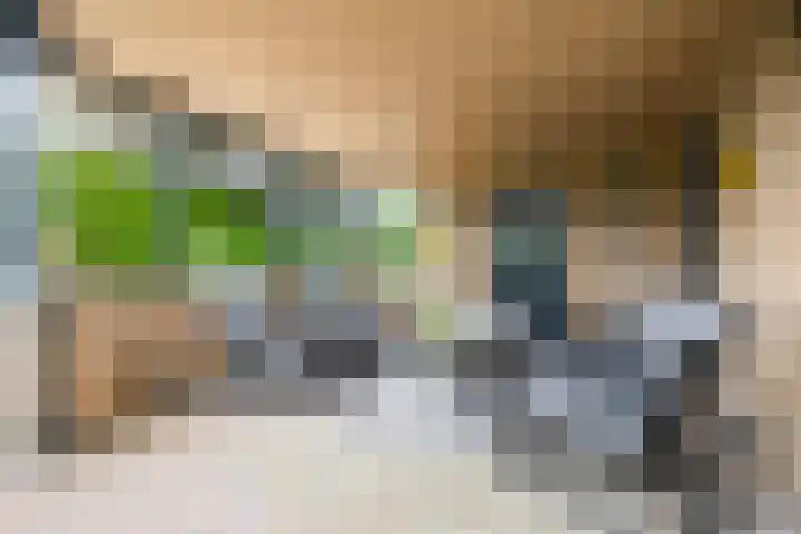 Prinses Beatrixstraat 43 A Didam thumbnail 48