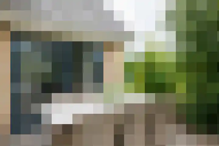 Prinses Beatrixstraat 43 A Didam thumbnail 51