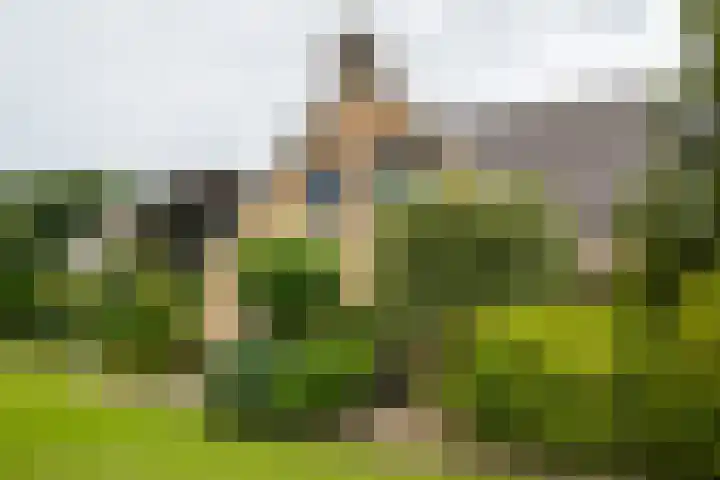 Prinses Beatrixstraat 43 A Didam thumbnail 61